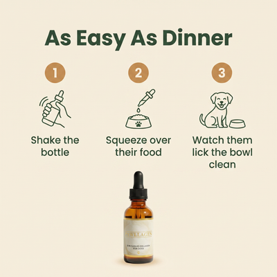 How to use Pawllagen in three steps