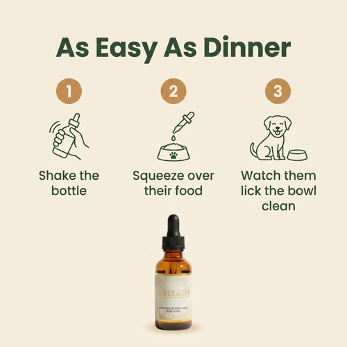 Pawllagen | 5-in-1 Premium Liquid Collagen
