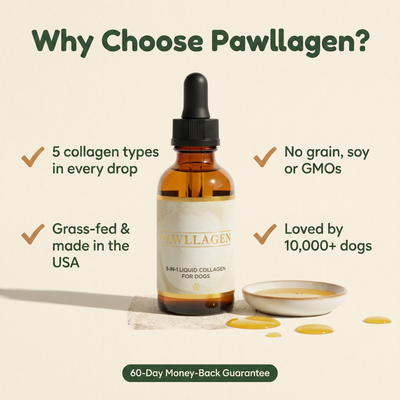 Why choose Pawllagen