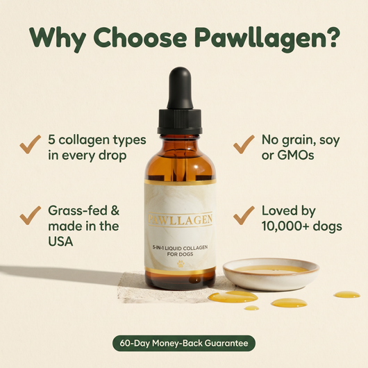 Why choose Pawllagen