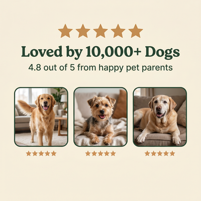 Loved by 10,000+ dogs, 4.8 stars